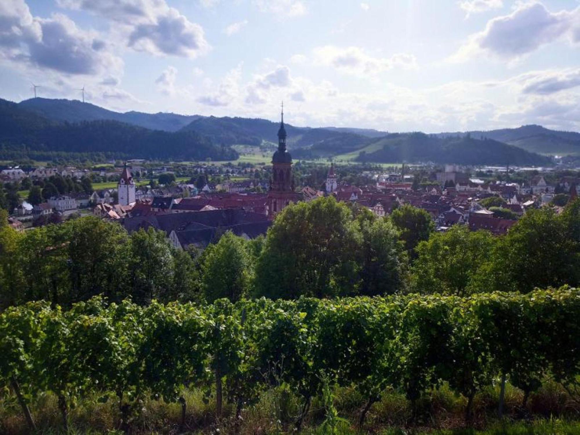 Ferienwohnung Sester Gengenbach Buitenkant foto