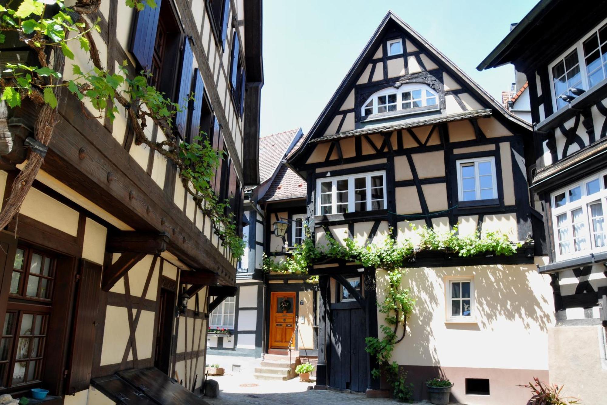 Ferienwohnung Sester Gengenbach Buitenkant foto