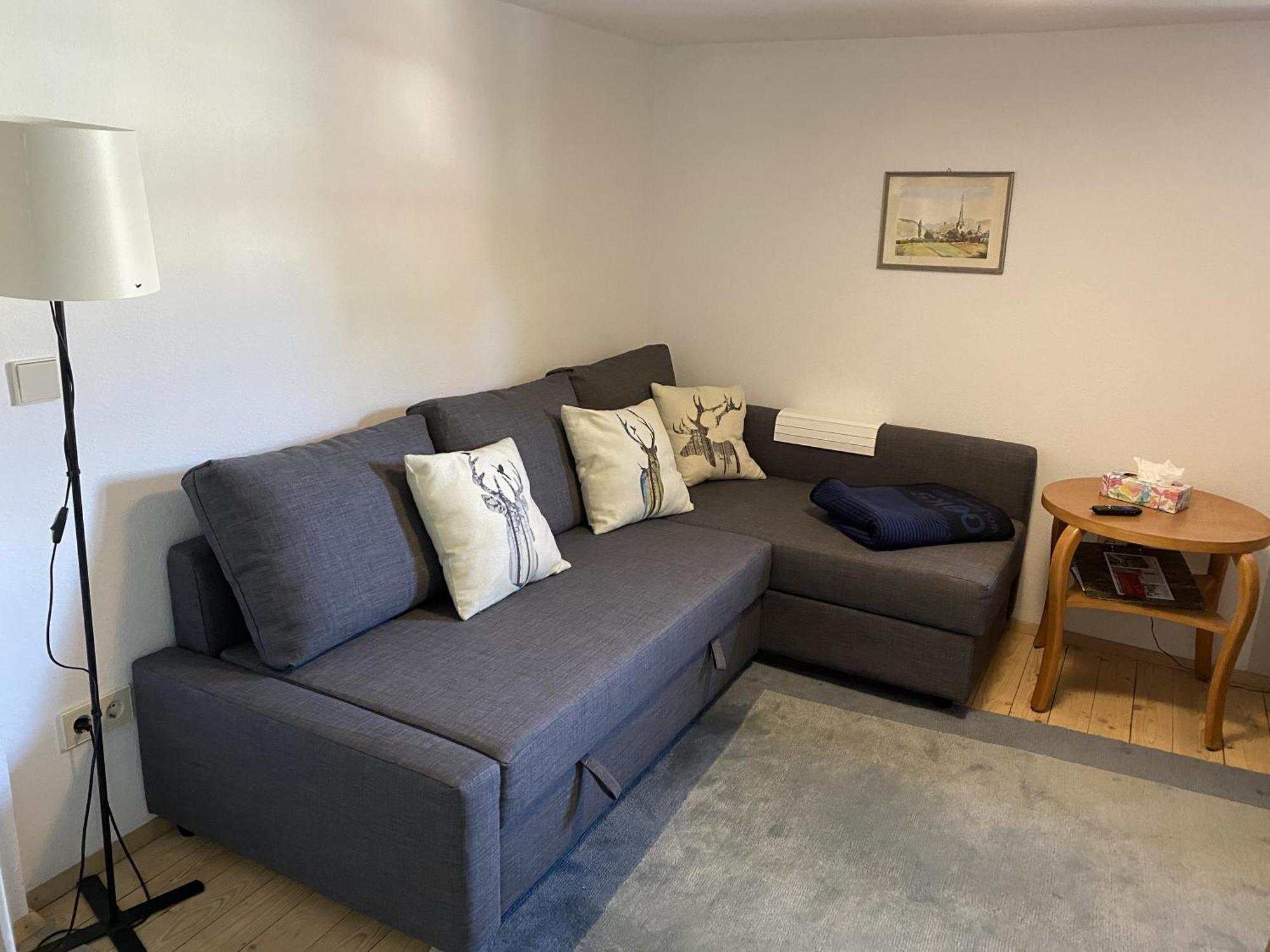Ferienwohnung Sester Gengenbach Buitenkant foto