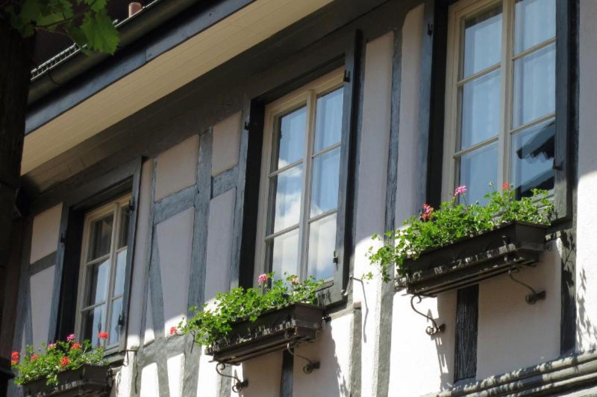 Ferienwohnung Sester Gengenbach Buitenkant foto