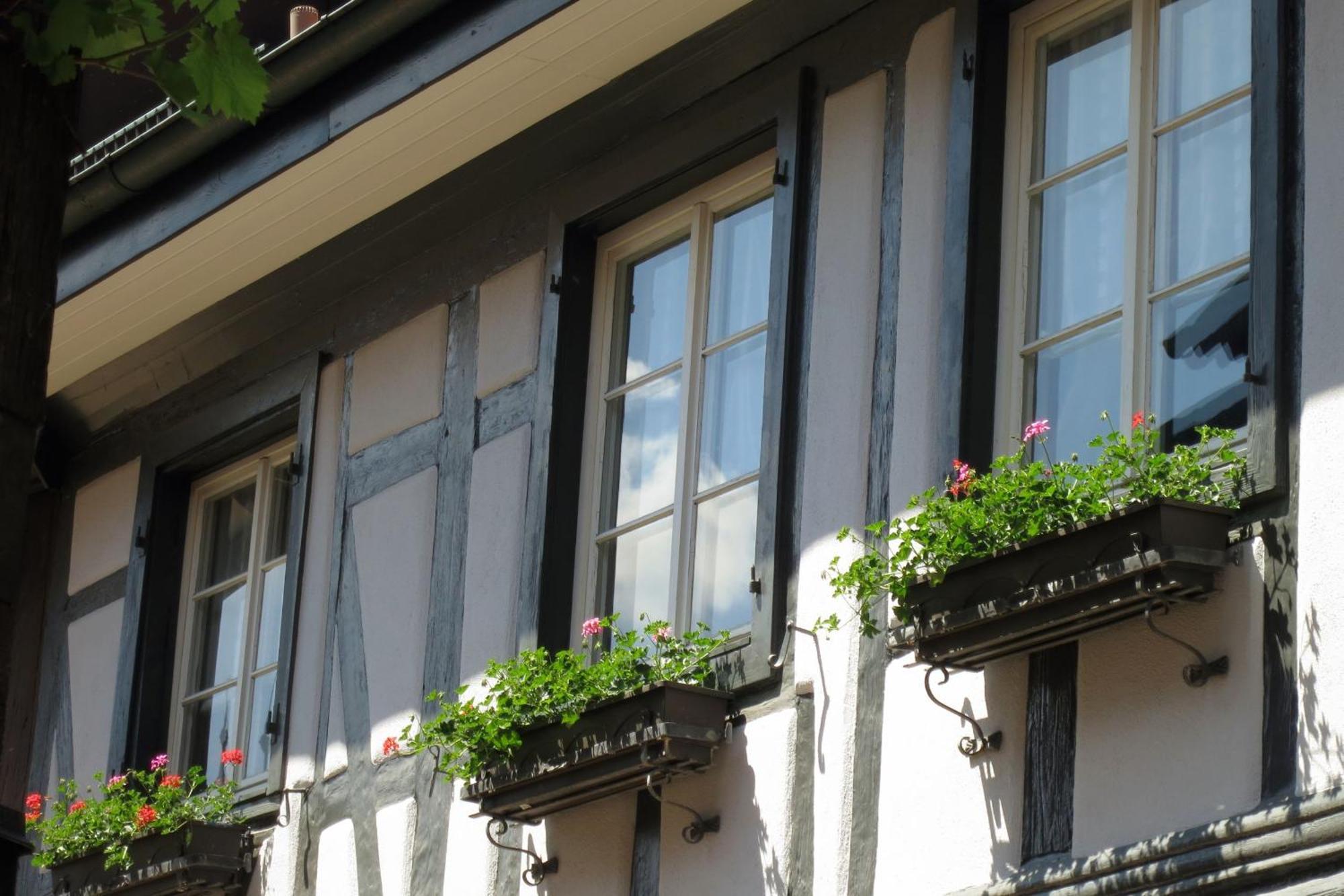 Ferienwohnung Sester Gengenbach Buitenkant foto